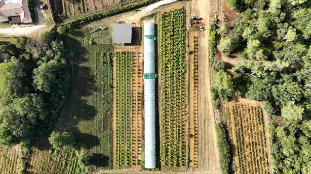 Référence B – photo 3